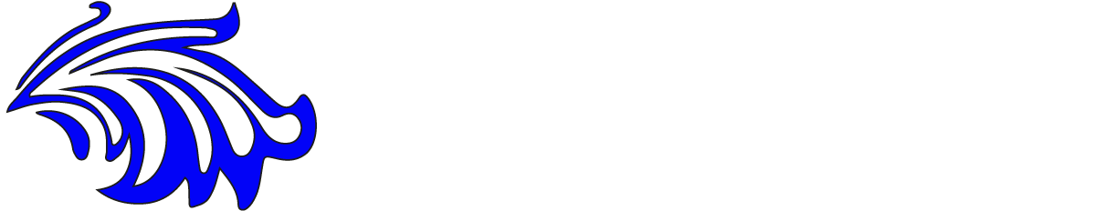 Ruční mytí Kladno - 